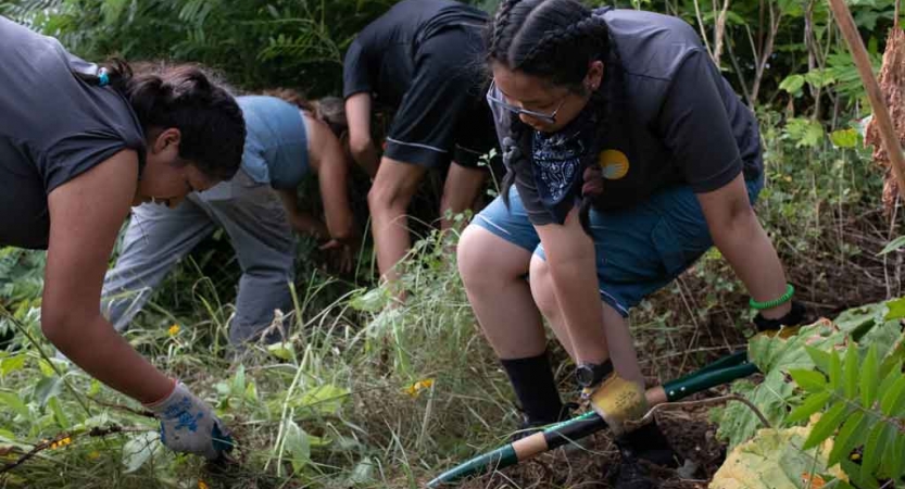 a group of students pull weeds while doing a service project with outward bound